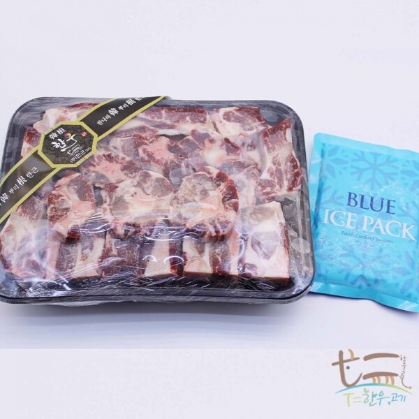 우주스토어,[가정의 달][한근] HACCP 인증 한근 한우 꼬리반골 3KG 선물세트